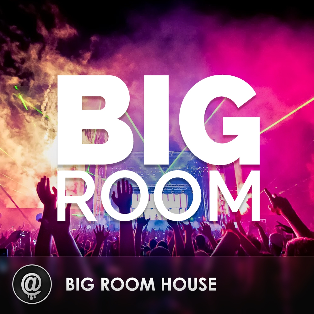 Big Room House EDM Spotify Playlist   216060 