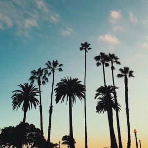 Download Summer Vibes Spotify Playlist